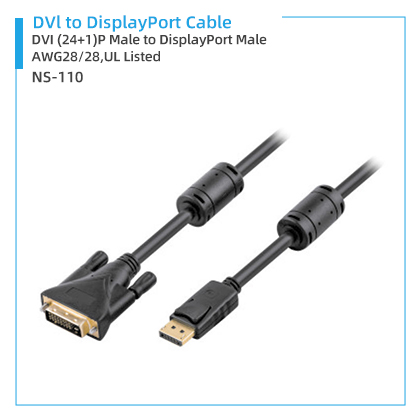 NS-110 DVI To Display Port Cable